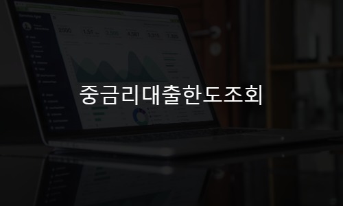 중금리대출한도조회